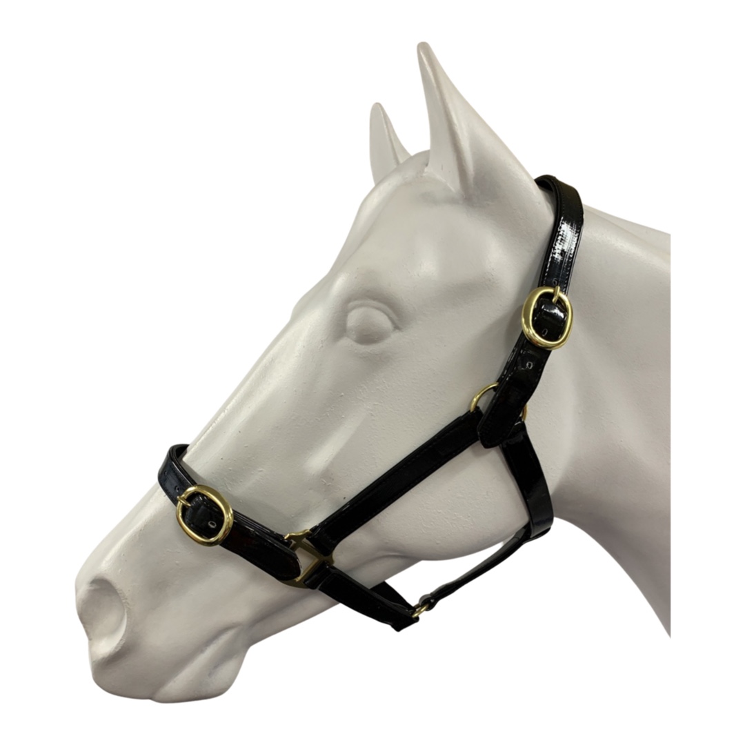 Showcraft – PVC Brass Halter 1″