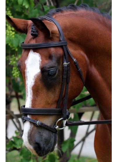 Flexible Fit Monocrown Black NO REINS – Pony