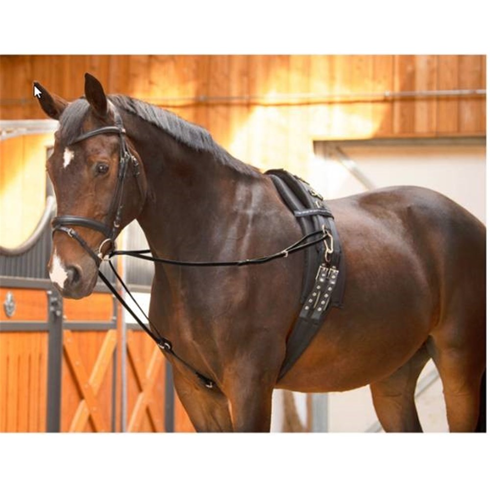 Running Side Reins W/QuickSnap Black Cob