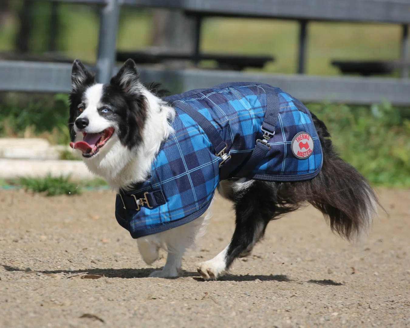 Thermo Master Supreme Dog Coat – Blue Tartan