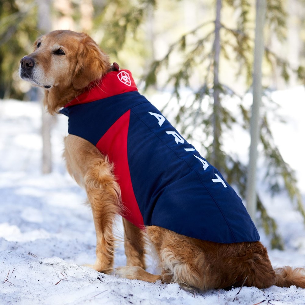 Ariat Team Softshell Dog Jacket