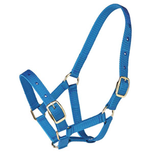 Gymkhana Foal Halter