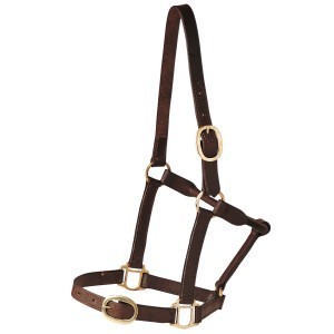 Single Ply Leather Halter – Cob