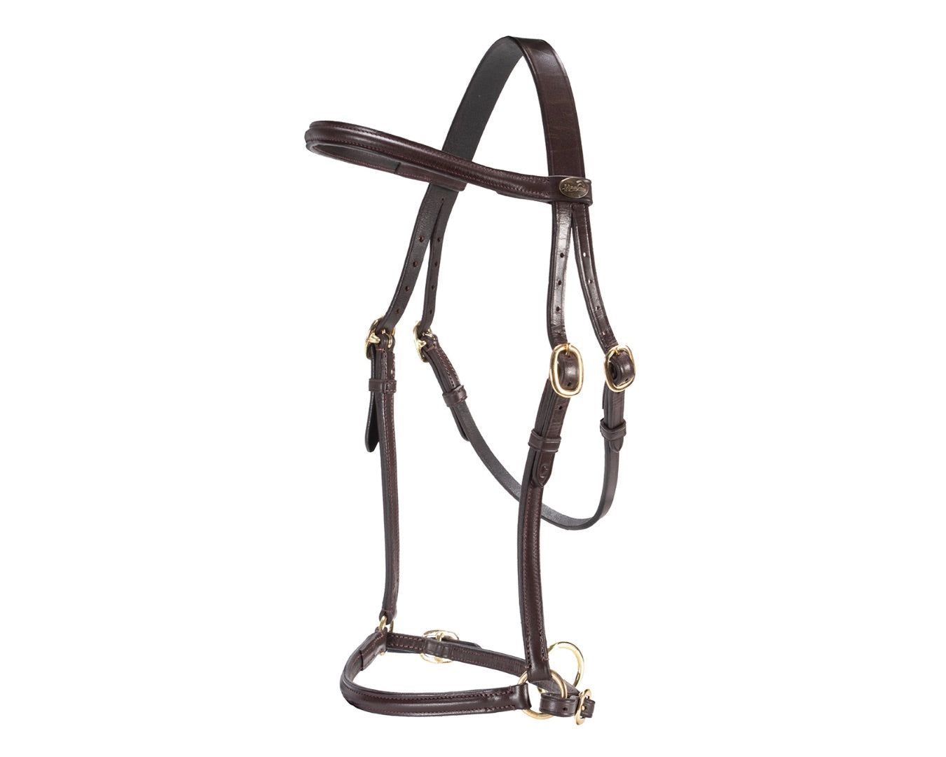 Hansome In-Hand Halter Havana