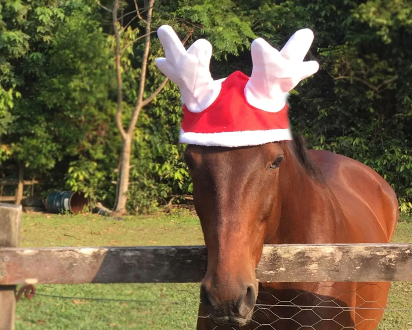 Christmas Reindeer Antlers