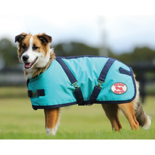 Thermo Master Supreme Dog Coat – Teal