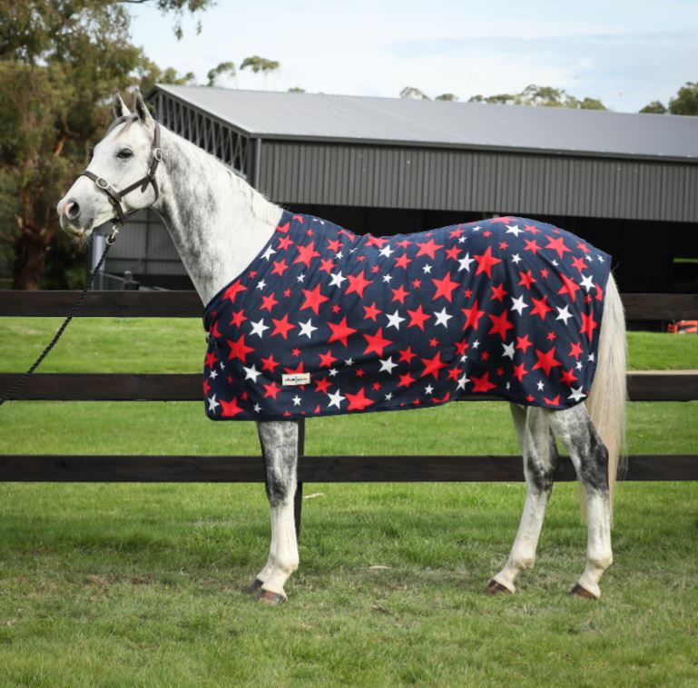 Eureka Stars Polar Fleece Rug