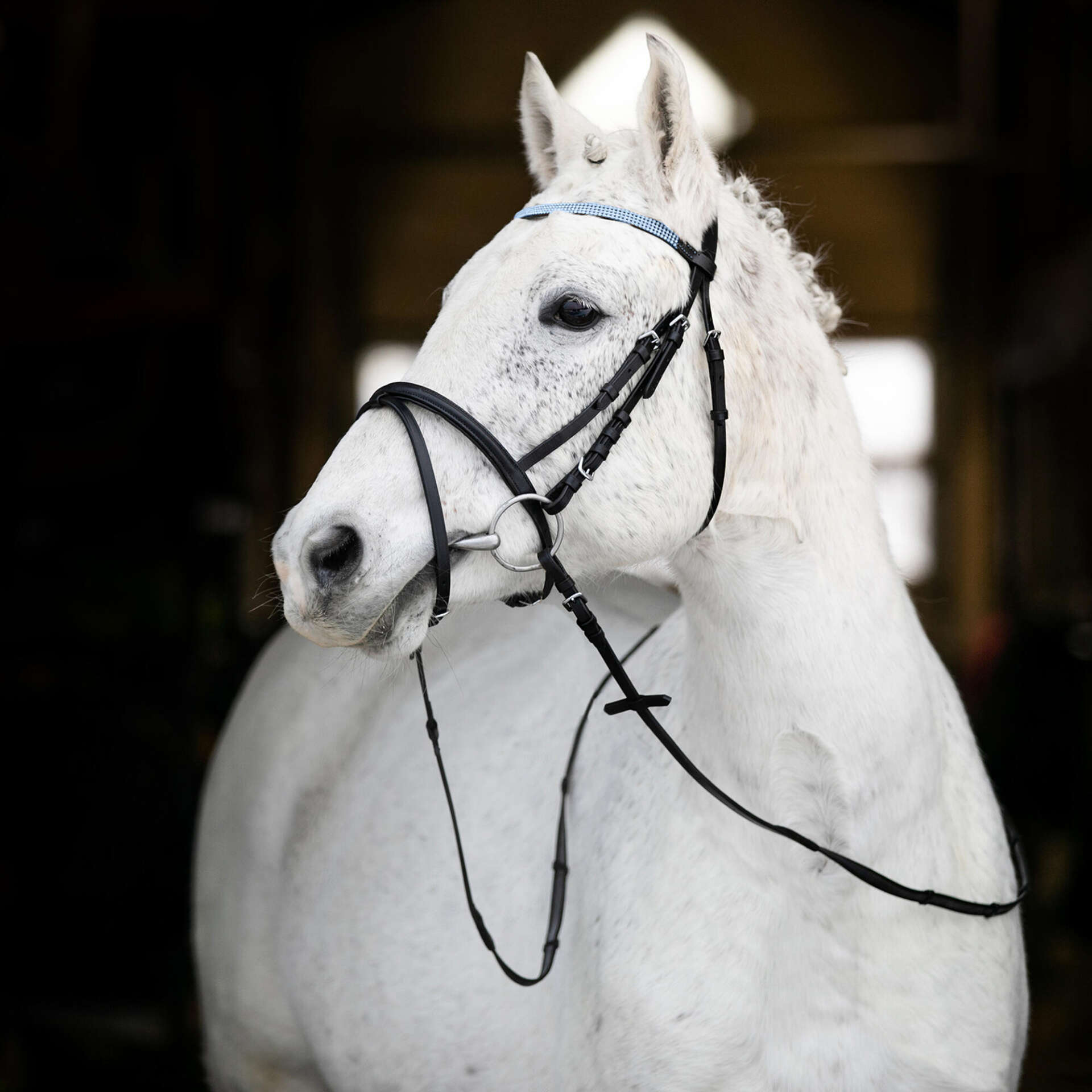 Horze Pony Bridle