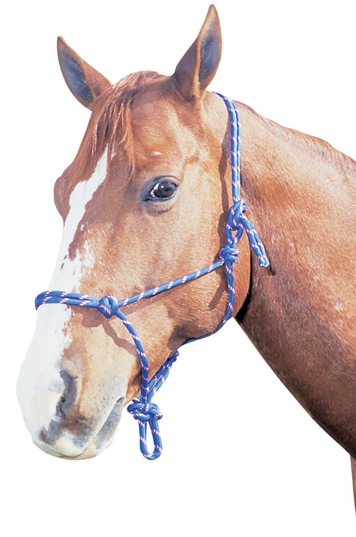 Horsemanship Halter