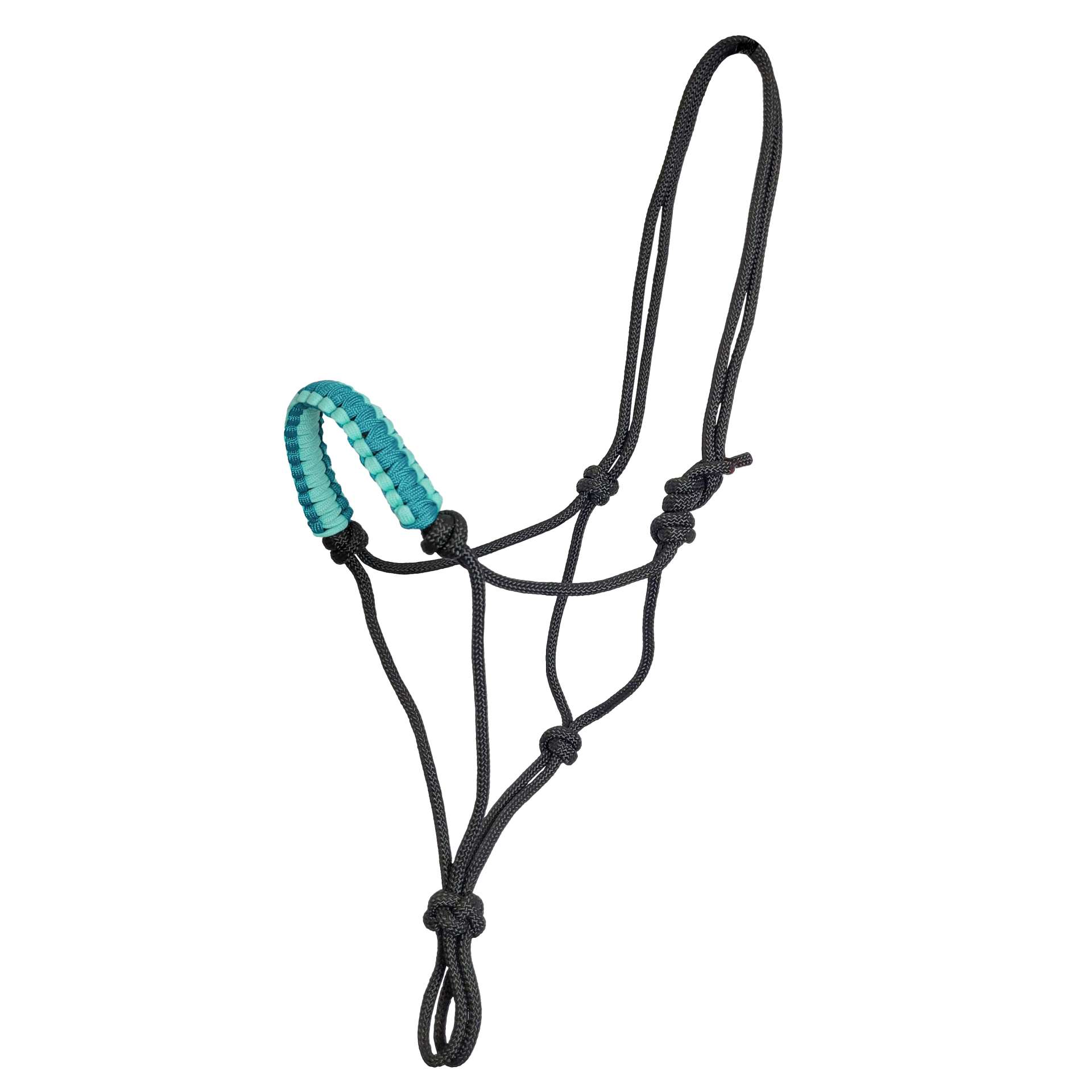 Zilco Padded Nose Rope Halter – Black/Turquoise