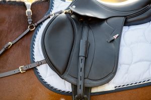 Cavalier Mono Dressage Stirrup Leathers