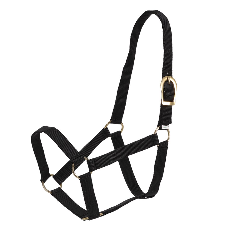 GG Australia Stable Halter